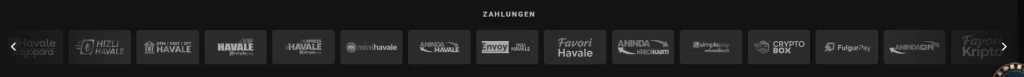 Zahlungsbereich der Bahiscasino-Benutzeroberfläche mit Angaben zu Zahlungswegen
